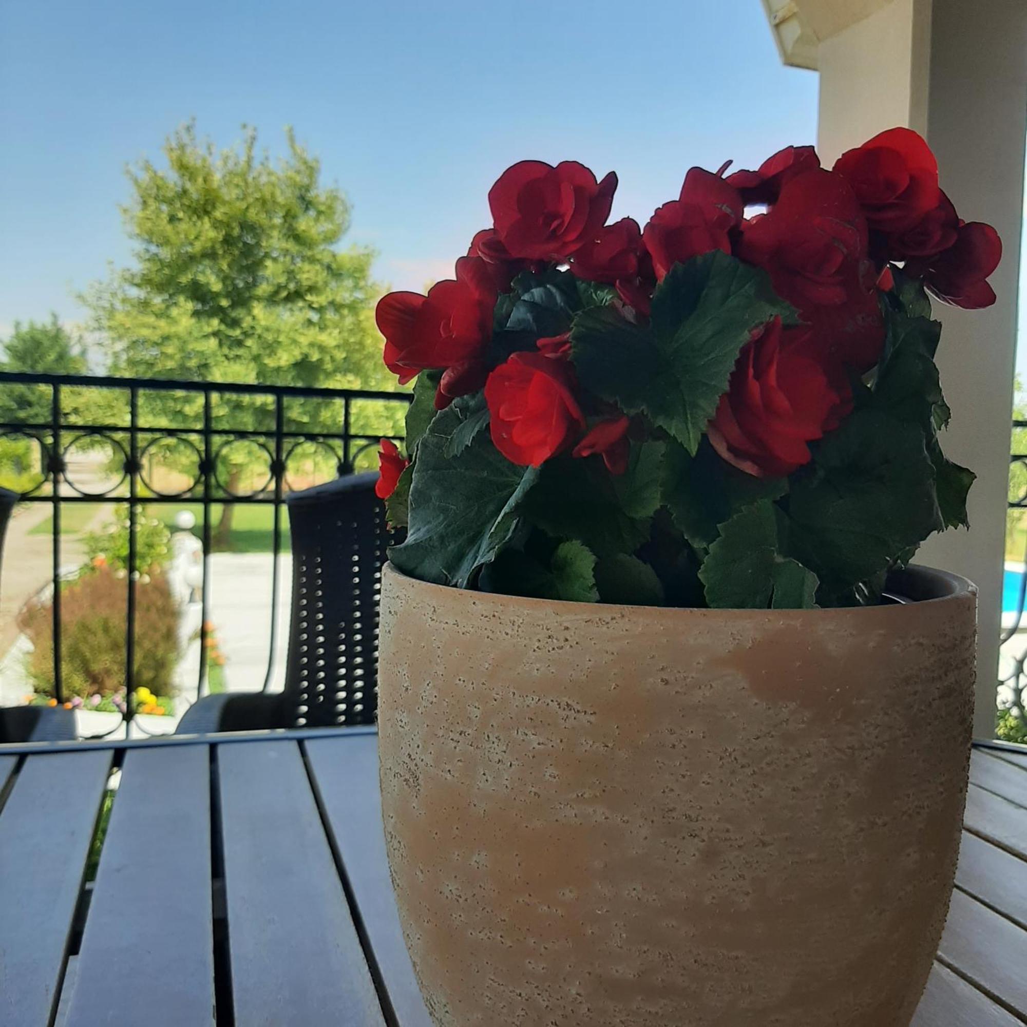 Αρχοντικό Παπανικολάου Villa Ligaria  Exterior foto
