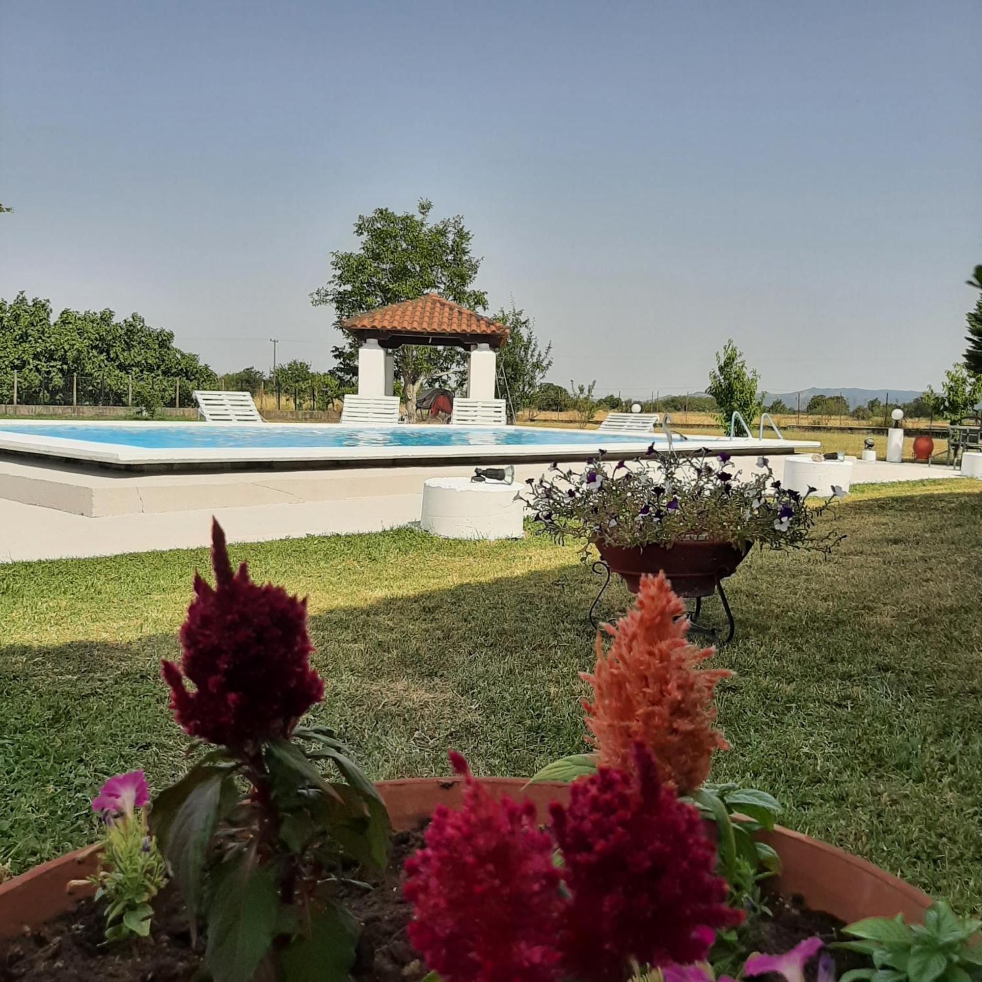 Αρχοντικό Παπανικολάου Villa Ligaria  Exterior foto